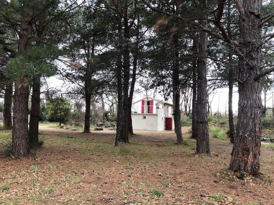 Le Cabanon De Vally Caromb Kültér fotó